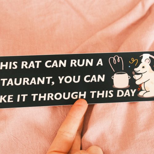 11RatChefBumperSticker