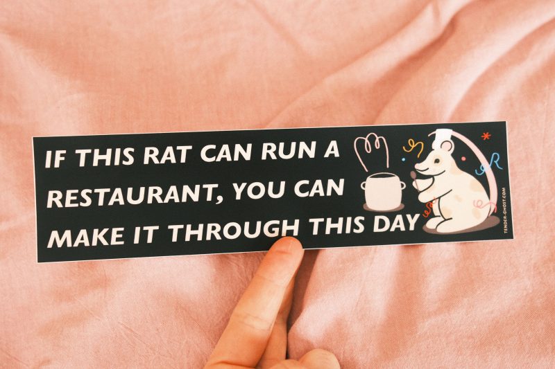 11RatChefBumperSticker