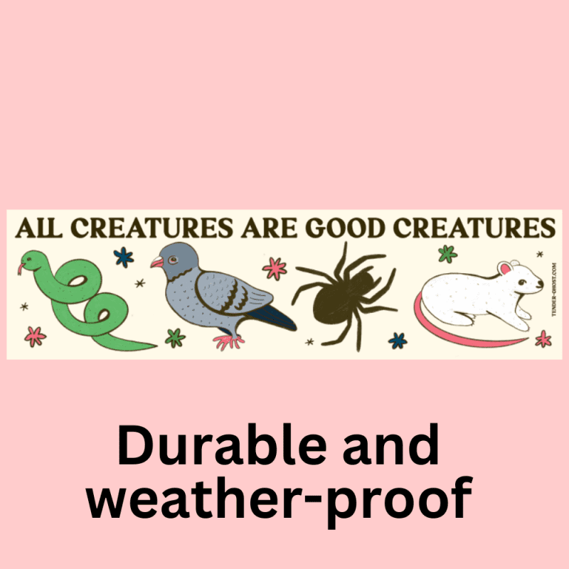 CopyofCopyofDurable weather proof 10