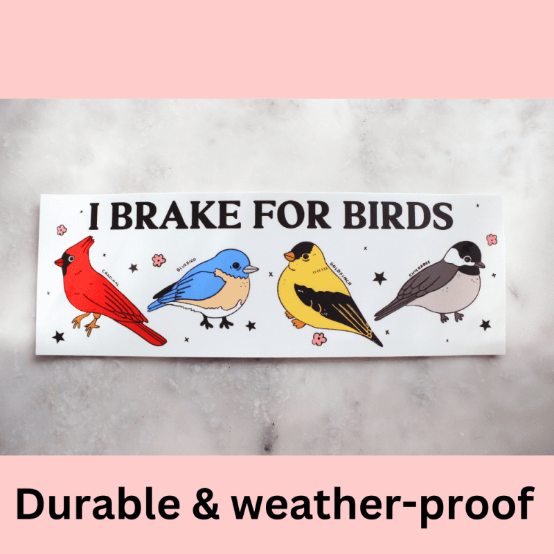 Durable weather proof 30